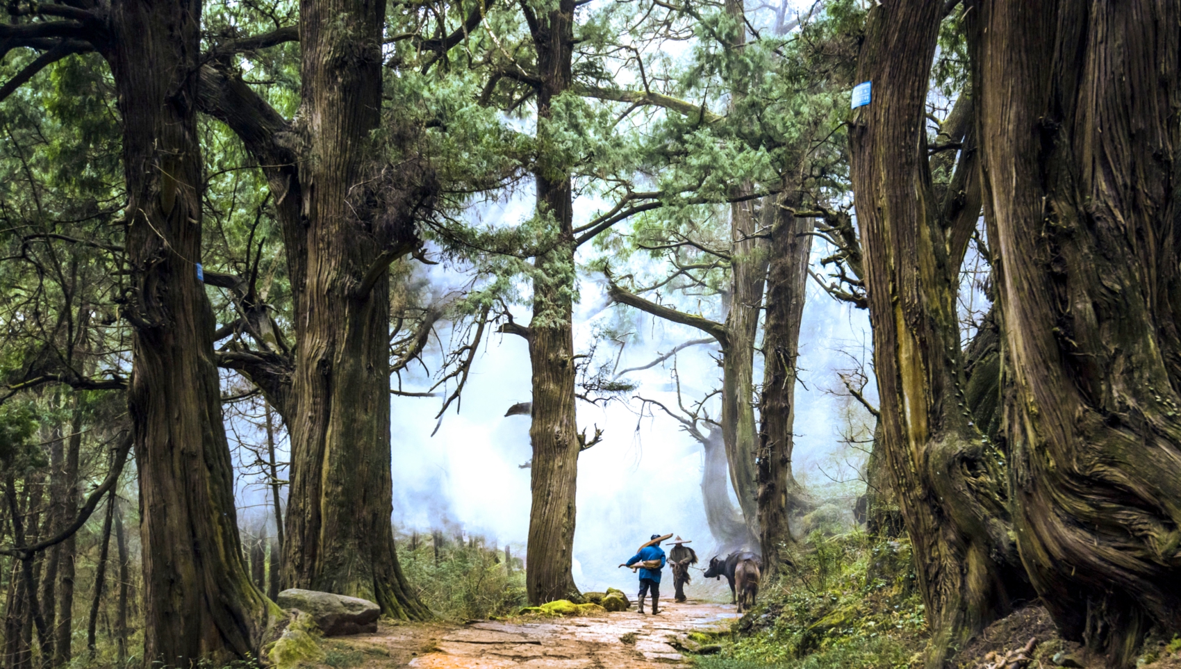票根可享受 票根可享受