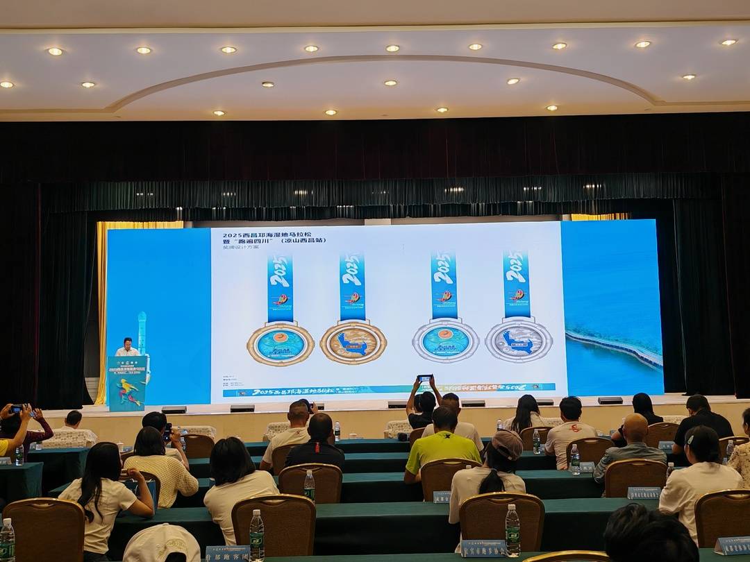 entit, 历经十一载, 礼包