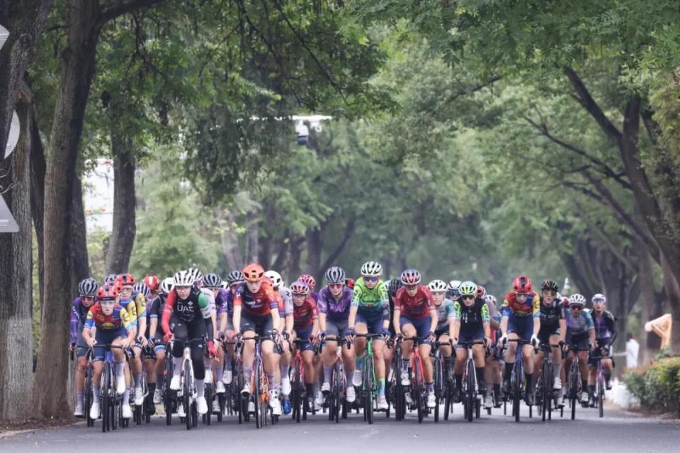 年环崇明岛, 长徐彬, GIAA 年环崇明岛, 长徐彬, GIAA